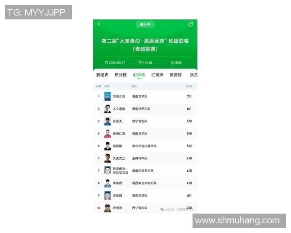 2025年西藏足球队最新球员名单及阵容分析