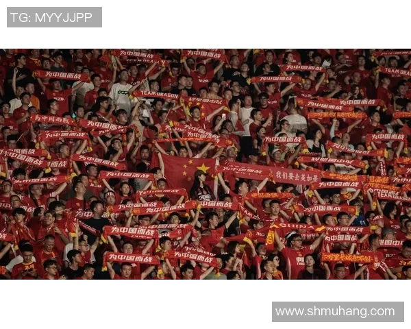 中国足球历史十大球星风采与成就解析